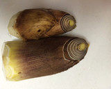 ☆たけのこ アク抜き☆ 簡単簡単作り方1写真