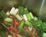 酢豚風カレー★長ネギ入り作り方2写真