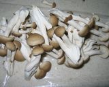 鳥肉のチリソース煮作り方3写真
