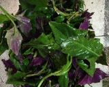 簡単 ハンダマの炒め物作り方1写真