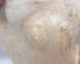 柔らかで芳醇✿全粒粉／雑穀食パン✿作り方3写真