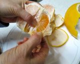 剝いて食べる旬のグレープフルーツ作り方5写真