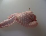 手羽餃子作り方9写真