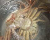 セイコガニ(セコガニ)の茹で方作り方3写真