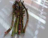 シヤキシヤキ　イタドリの金平　作り方5写真