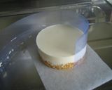 レアチーズケーキ　クリアファイルで簡単作り方18写真
