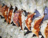 リッチバージョン♪うちんちの海老卵入餃子作り方3写真