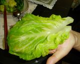 春キャベツの手巻きご飯作り方3写真
