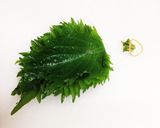 簡単！大葉チーズ梅肉巻き作り方1写真