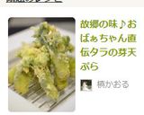 故郷の味♪おばぁちゃん直伝タラの芽天ぷら作り方4写真