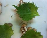 きのこの豚肉巻き、さっぱりと蒸し焼きに作り方3写真