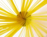 余ったカレーとチーズでパスタ作り方6写真