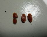 キャラ弁☆ウインナーで天使作り方2写真
