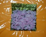 キャラ弁☆まめゴマ海苔巻き作り方3写真