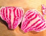 ボルシチ♡トマト缶入りver♪作り方9写真