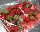 めっけもん♪簡単！手作りいちごチョコ作り方1写真