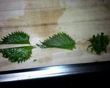 ﾁｰｽﾞしそと梅しそのサンド豚カツ作り方2写真