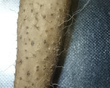 かぶと生揚げの煮物作り方6写真
