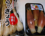 らっきょとミョウガの簡単サラダ作り方1写真