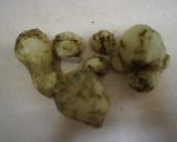 菊芋のかんたん煮作り方2写真