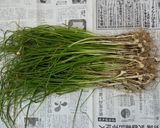 ノビルのゴマ醤油漬作り方1写真