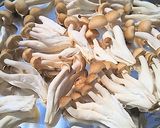太陽いっぱい浴びた干ししめじ(*^^*)作り方2写真