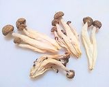旨味と栄養がギュッと詰まった干しエリンギ作り方12写真