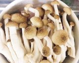 簡単♡レンジでキャベツと豆腐の豚肉包み作り方9写真