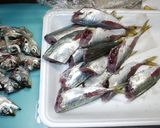むーにぃの鯵の南蛮漬け作り方1写真
