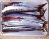 いわしの梅生姜煮作り方4写真