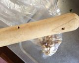 簡単♫くるみ釜玉うどん作り方1写真