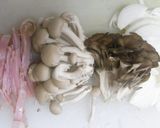 美味♫ベーコン＆きのこ✿アボカドココット作り方9写真