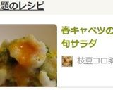 春キャベツの旬サラダ作り方4写真