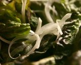 豚薄切ロースを違う味にハニーマスタード焼作り方11写真