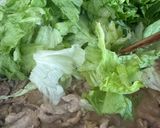 5分で完成♪玄米甘酒香る豚レタス炒め作り方5写真