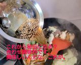 牛肉と春キャベツのオイスターソース煮作り方3写真