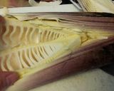 たけのこの下ゆで作り方3写真