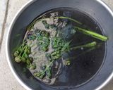 わらびのアク抜きとおひたし作り方3写真
