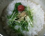 痩せる！お茶碗半分ご飯で梅干し雑炊♪作り方1写真