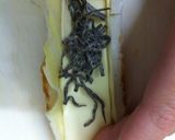 竹輪のキャベツチーズ塩昆布巻作り方2写真