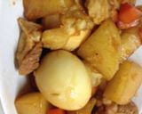 鳥と根菜の煮物作り方7写真