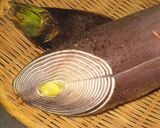 筍の温サラダ♬作り方5写真