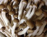 簡単♡レンジで生姜焼き豚肉キャベツ塊作り方6写真
