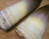 料亭の味！絶品★筍ご飯♪作り方1写真