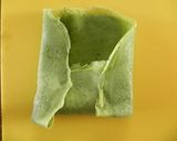 プレーンと抹茶の簡単★こいのぼりクレープ作り方6写真