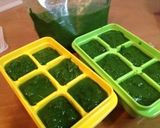 よもぎの下茹と冷凍保存(よもぎペースト)作り方5写真