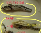 我が家の出し汁＊昆布といりこ作り方2写真