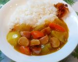 家計助かる！懐かし魚ニソカレー♪ルー不要作り方5写真