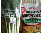 マカロニグラタン〜柚子風味〜作り方7写真