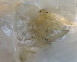 フライパン一つdeサクサク白魚フリッター作り方2写真